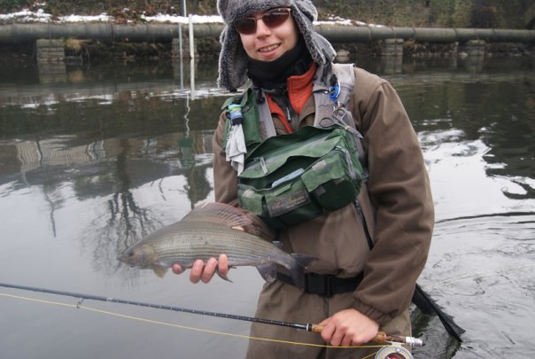 grayling_ronsfishing