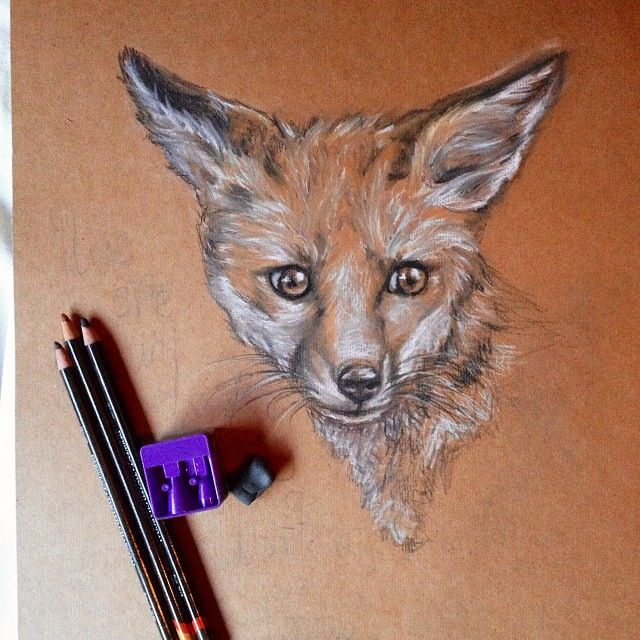 Clever is the Fox. Conte on Paper