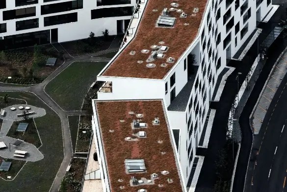 Commercial Roofing Services Denver CO