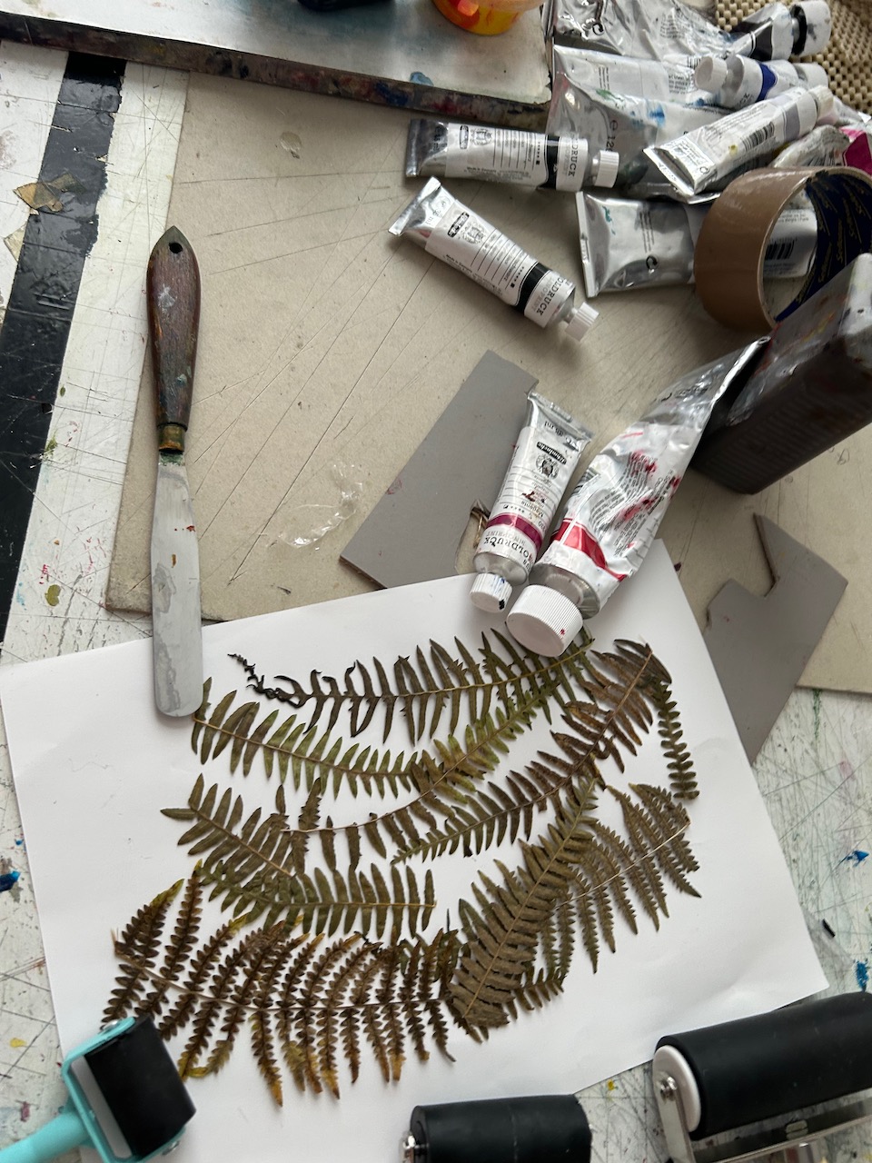 Ferns from the garden at 575 Wandsworth Road, flattened and laid out with printmaking materials