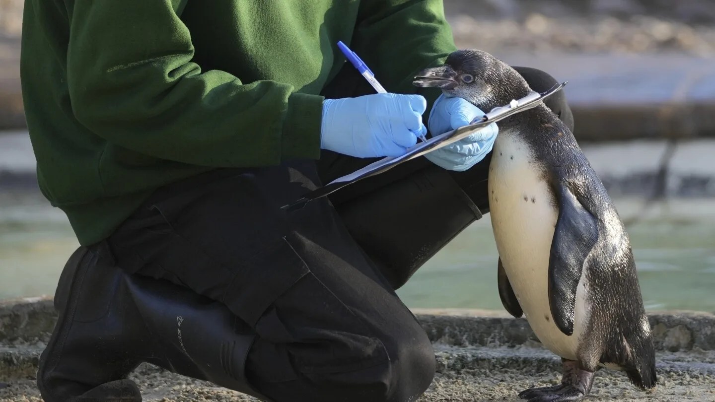 El Zoo de Londres realiza su conteo anual de animales residentes.