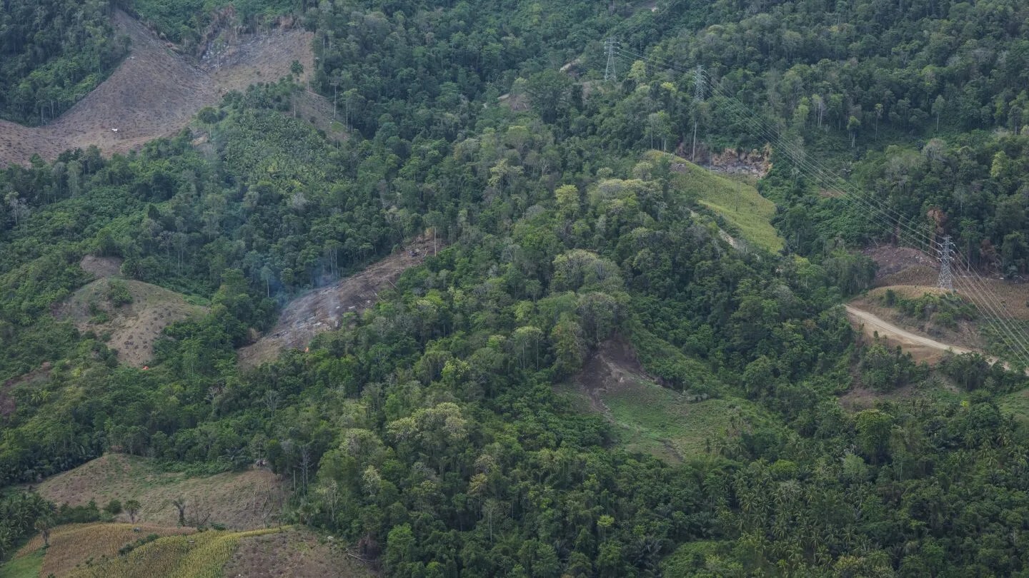South Korea Reduces Biomass Energy Subsidies Amid Deforestation Concerns