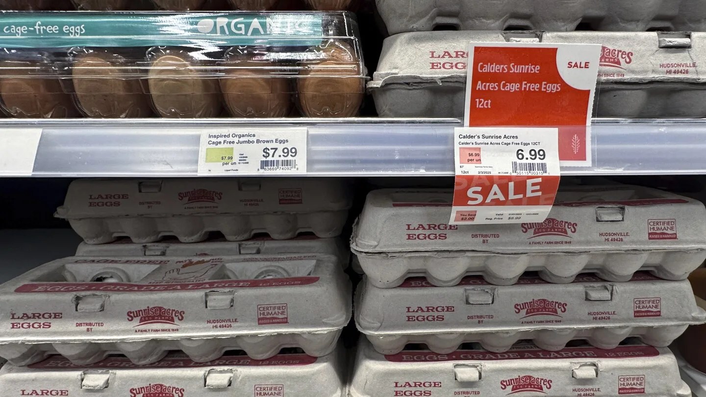 EE. UU. impone restricciones a la compra de huevos por brote de gripe aviar