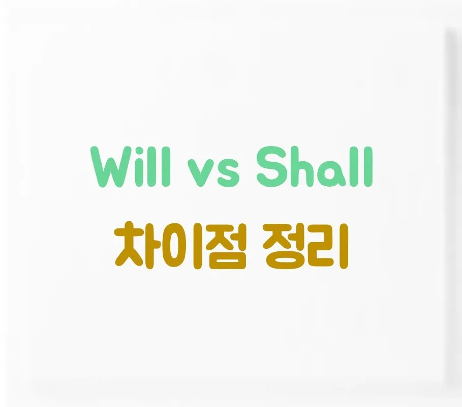 will shall 차이