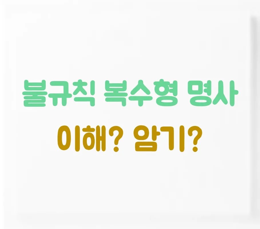 불규칙 복수형 명사