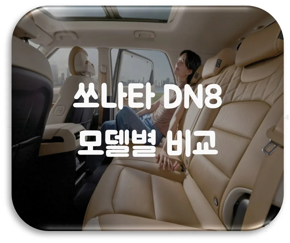 쏘나타 DN8