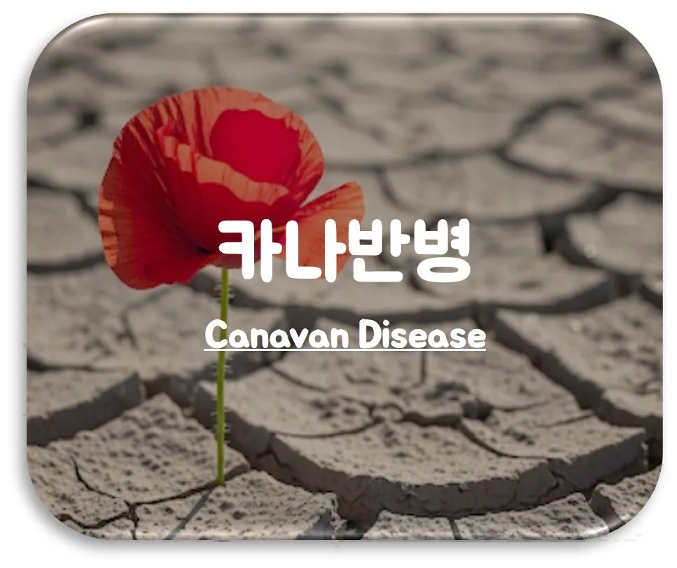 카나반병