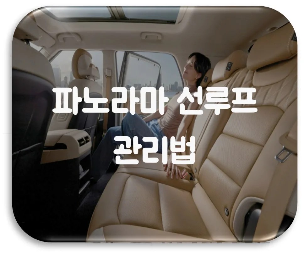 파노라마 선루프 관리