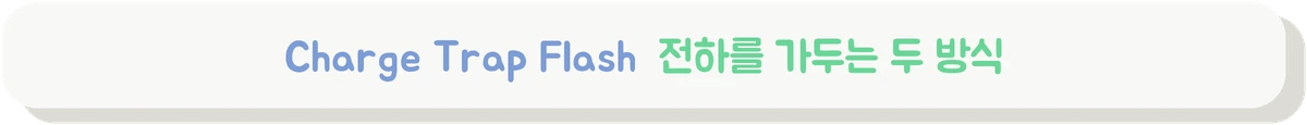 Charge Trap Flash와 플로팅 게이트의 차이를 설명하는 배너