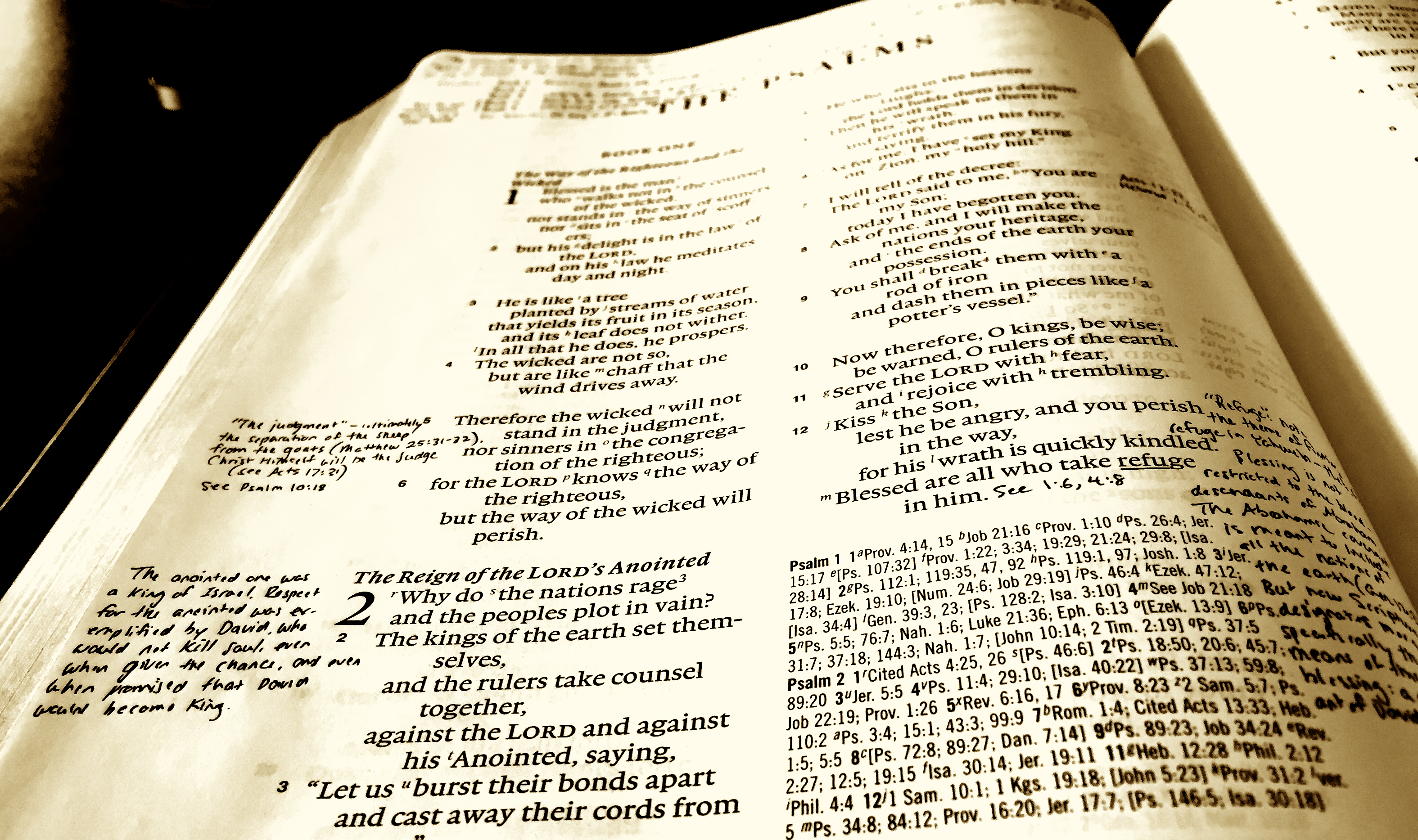 Daddy, Why Do You Write In Your Bible?" The Value Of Making Marginal Notes  - Rooted Thinking : Rooted Thinking