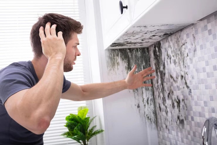 water damage img