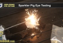 Exploding Eye Lecture (Video)