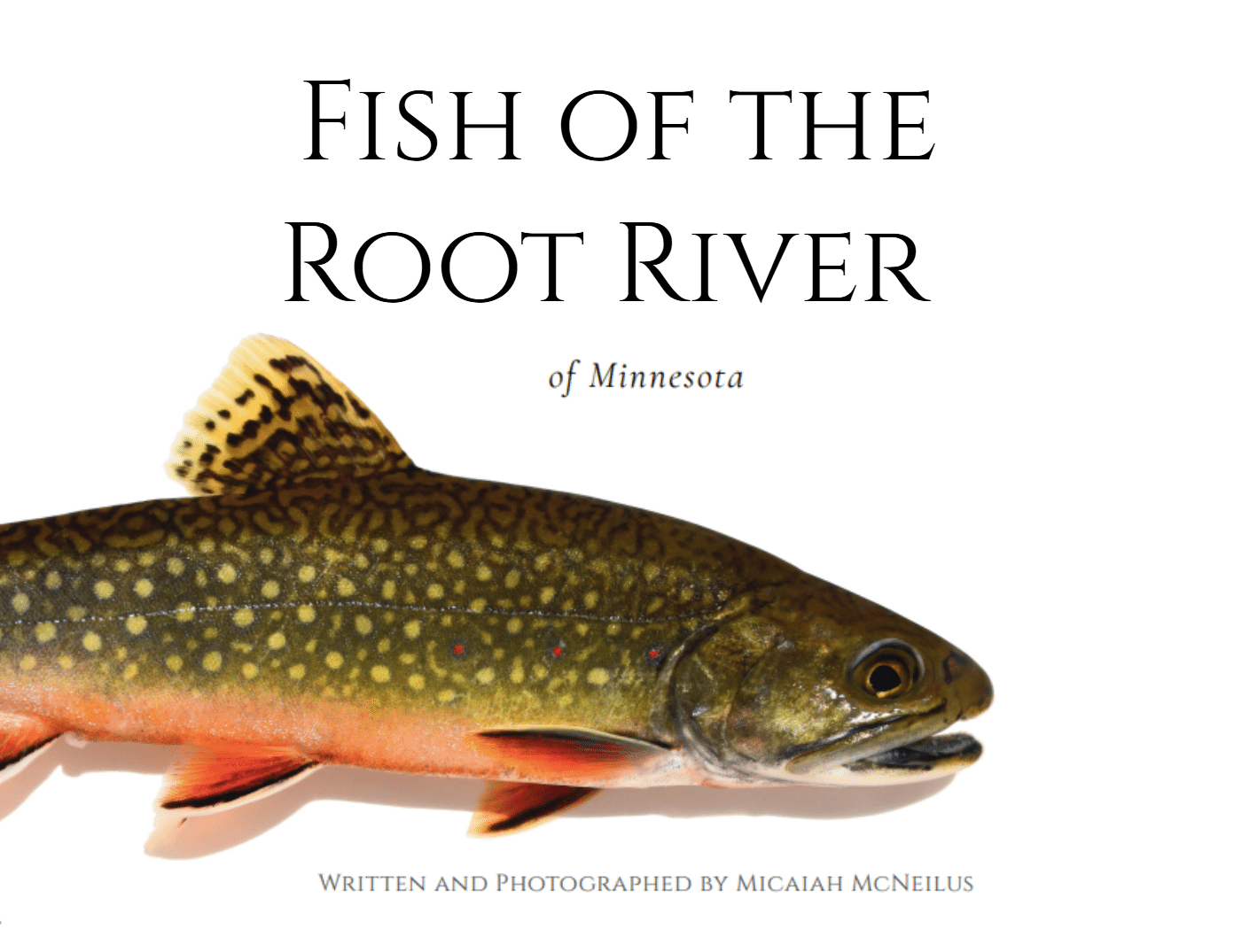 Through the Lens: Exploring Fish of the Root River