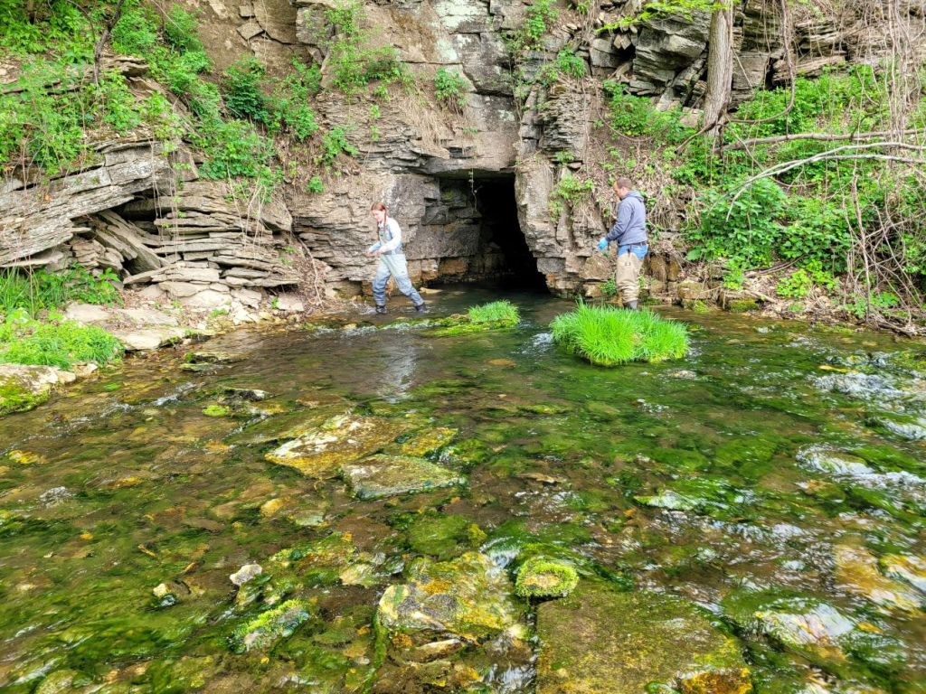 A woman (left) and a man (right), both wearing hip waders walk through a shallow stream. The background is a tall limestone cliff, the foreground is large, mossy rocks just barely under water.
