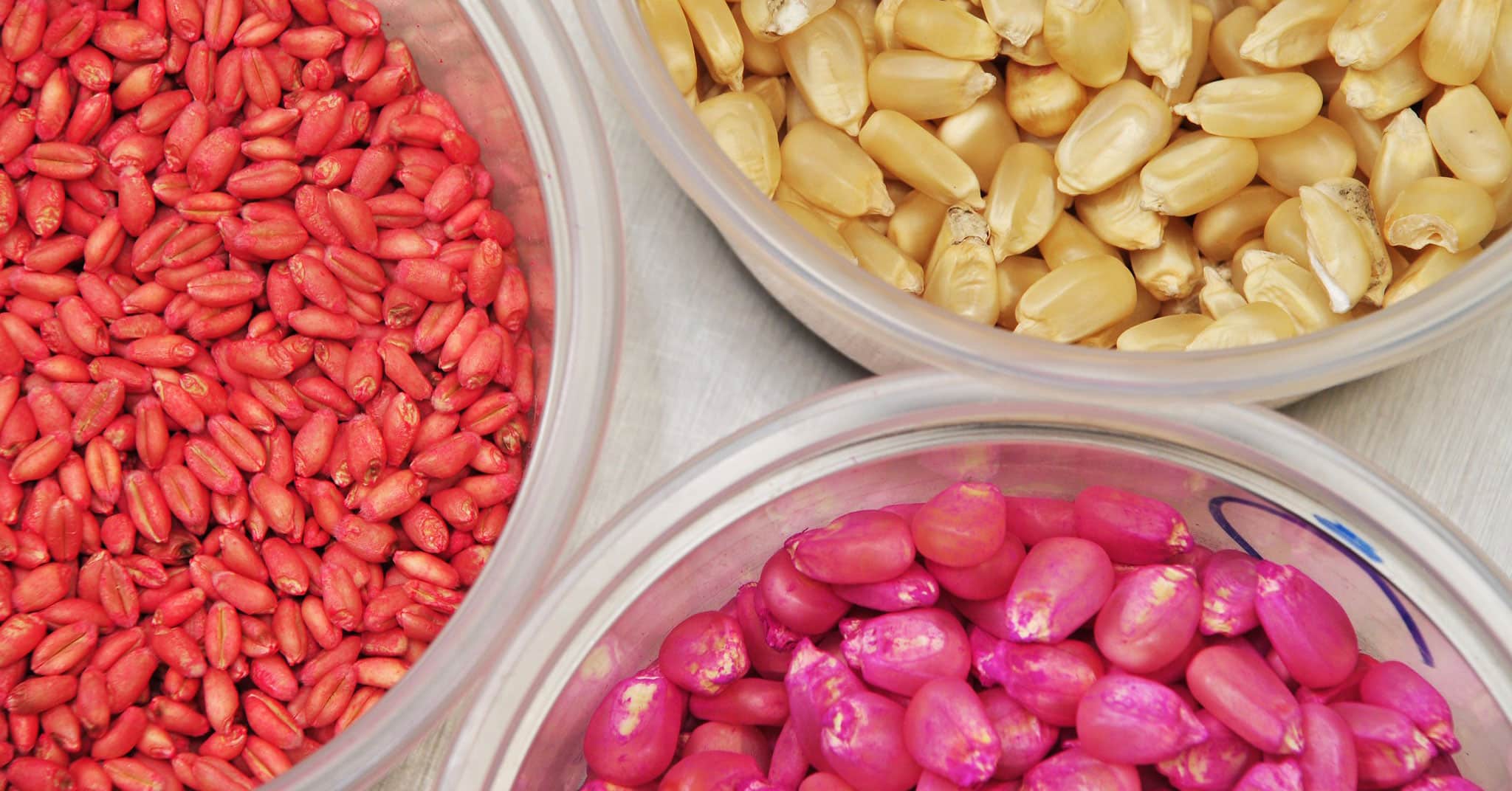 2026 Minnesota Neonic Forum