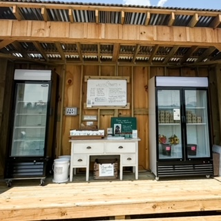 image2 (1)