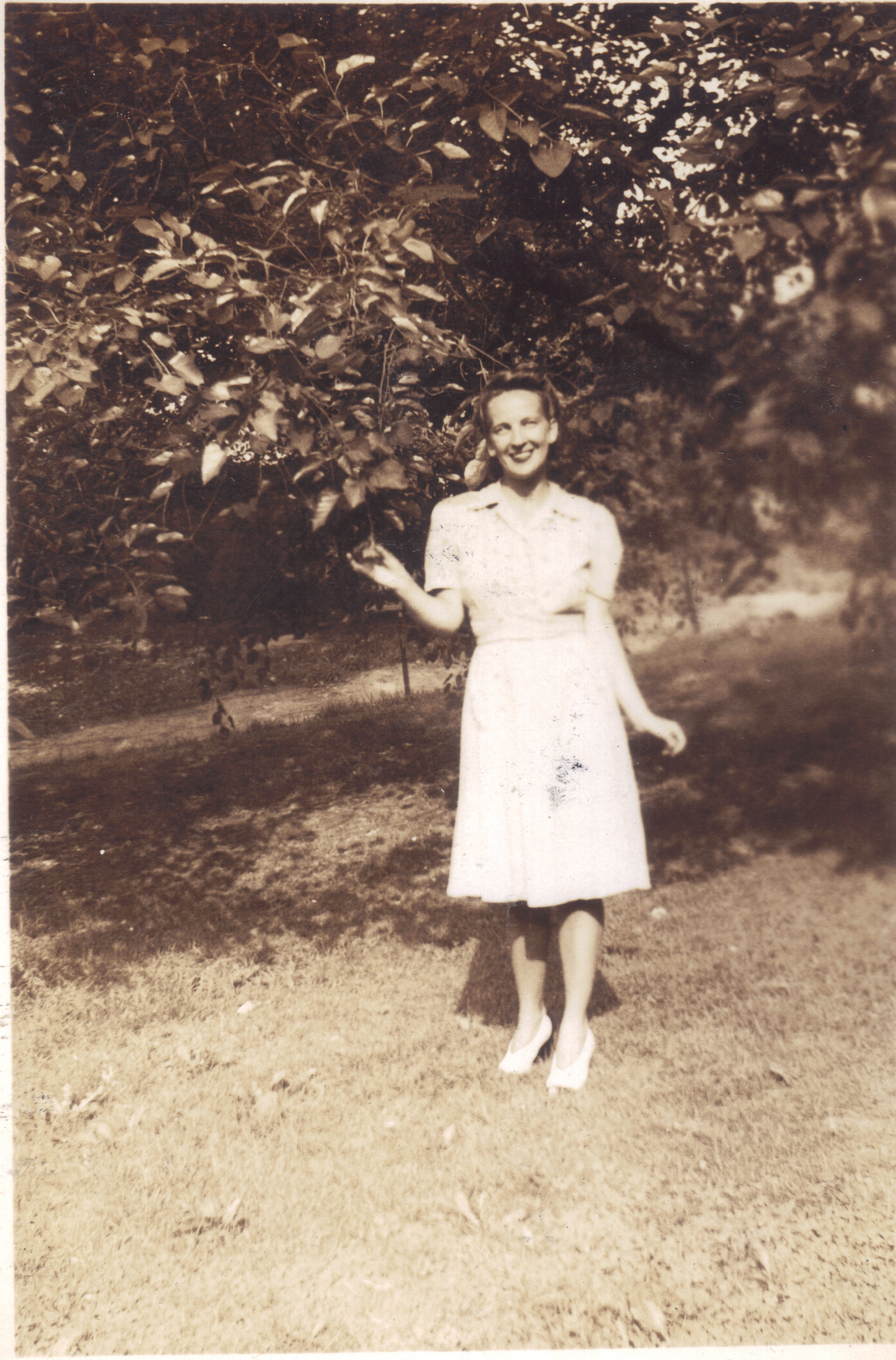 Unknown 5 - possible Powers