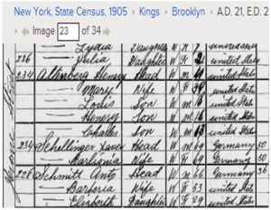 Xaver Schillinger in the 1905 New York State Census