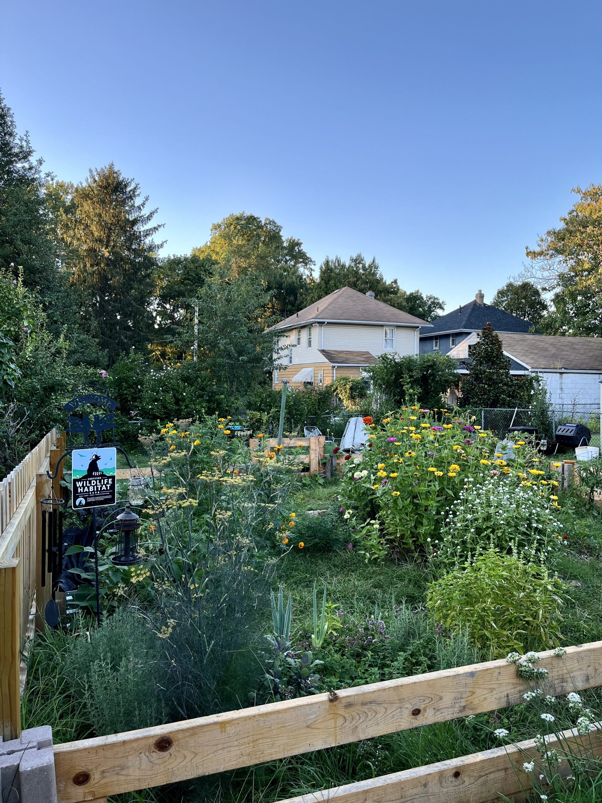 Fall Garden