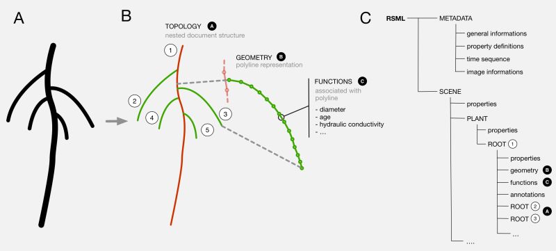 Format Rsml New Portrait Pdf - Best Space Wallpapers in Retina