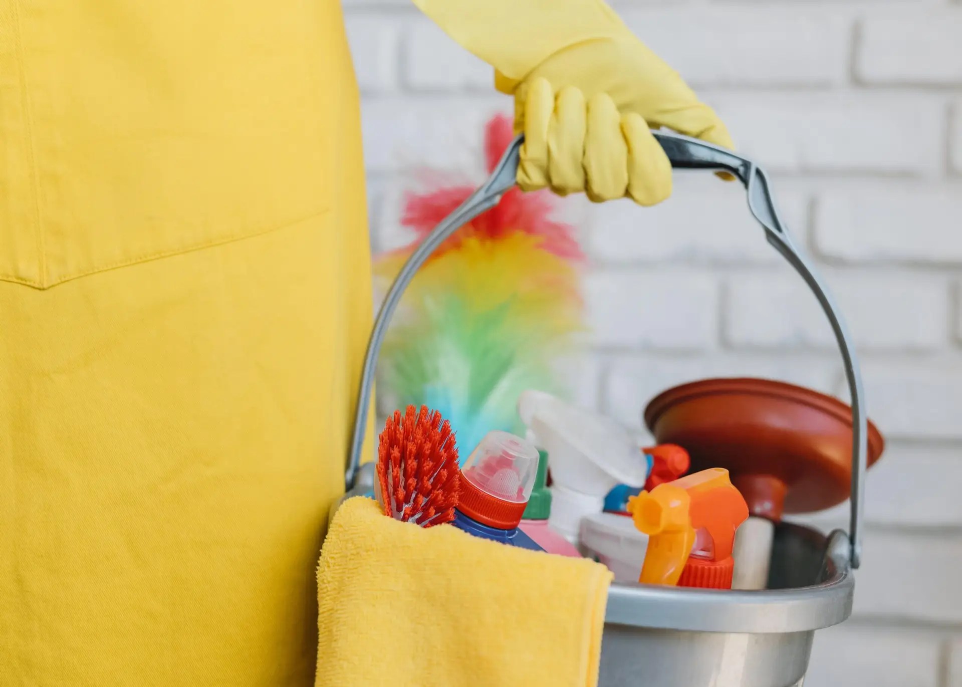 Spring Cleaning vs Fall Cleaning Guide