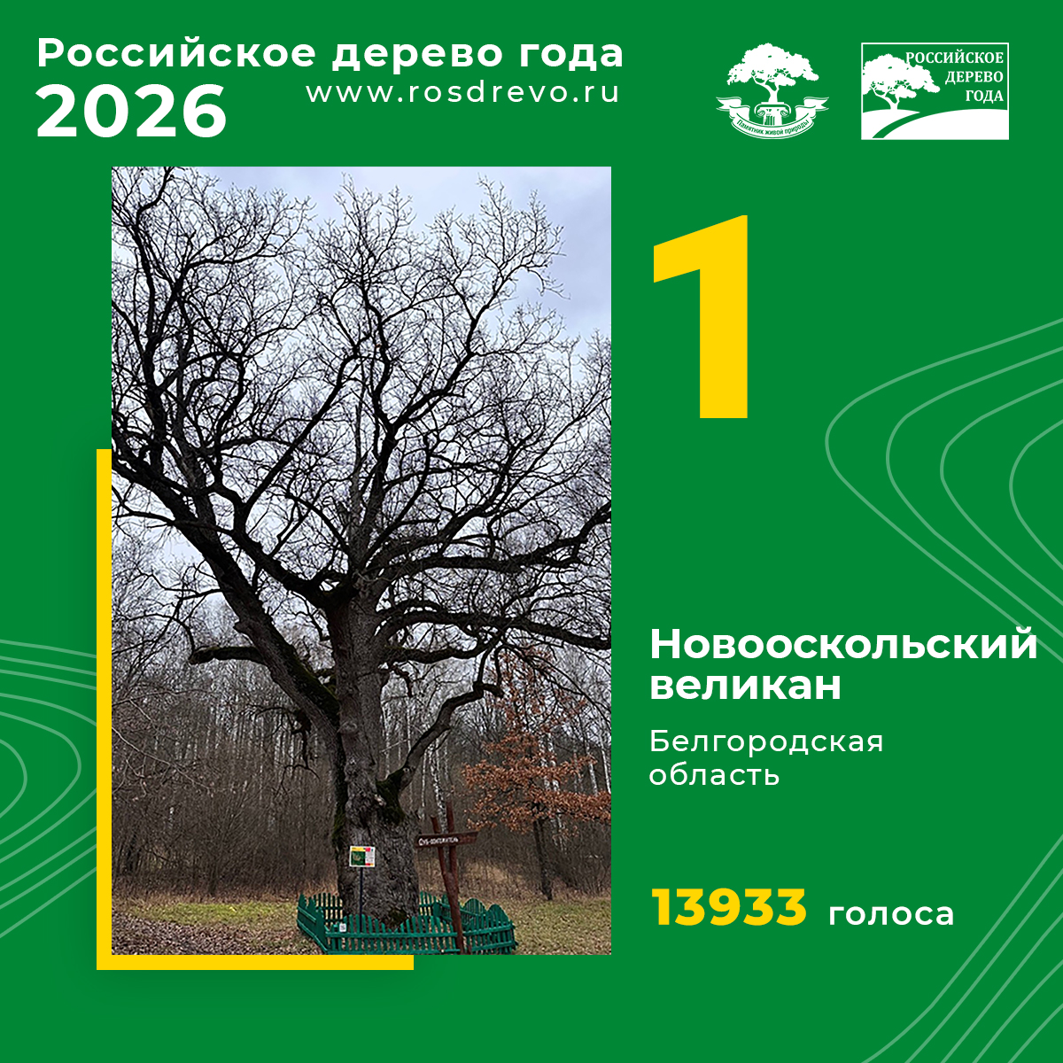 final_1