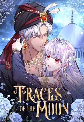 ร่องรอยของดวงจันทร์