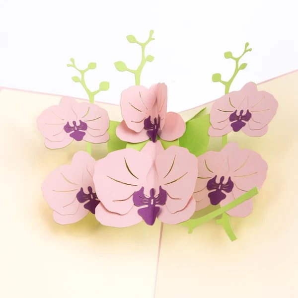Orchid greeting card 
