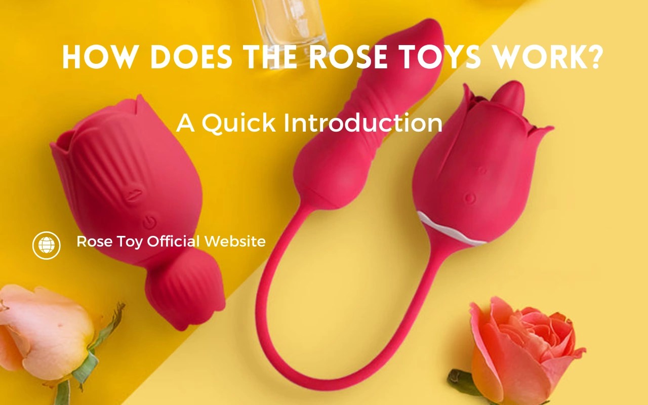 What Does A Rose Toy Feel Like My Projects How Does The Rose Toys Work.webp