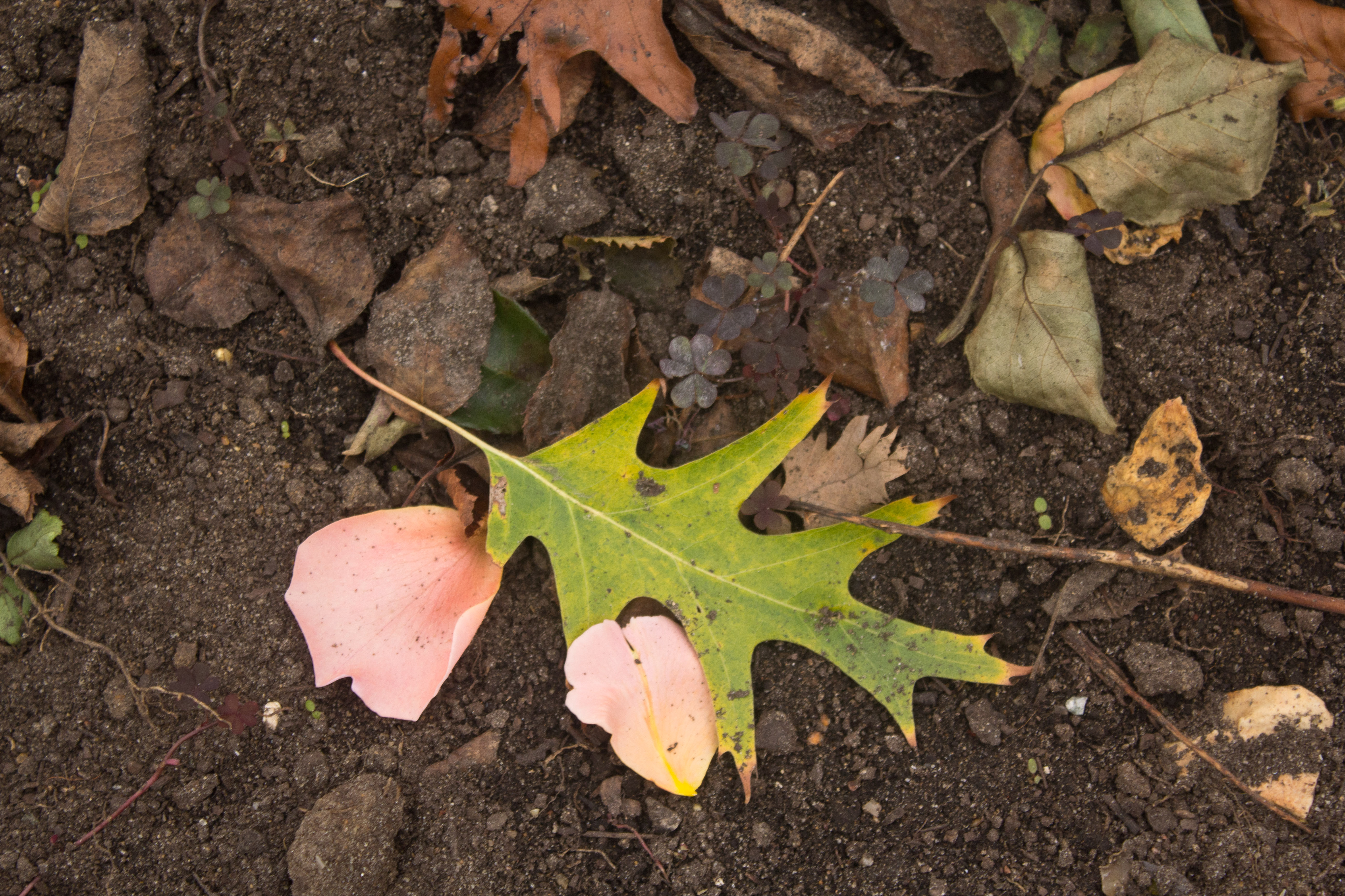 20141026-IMG_1969