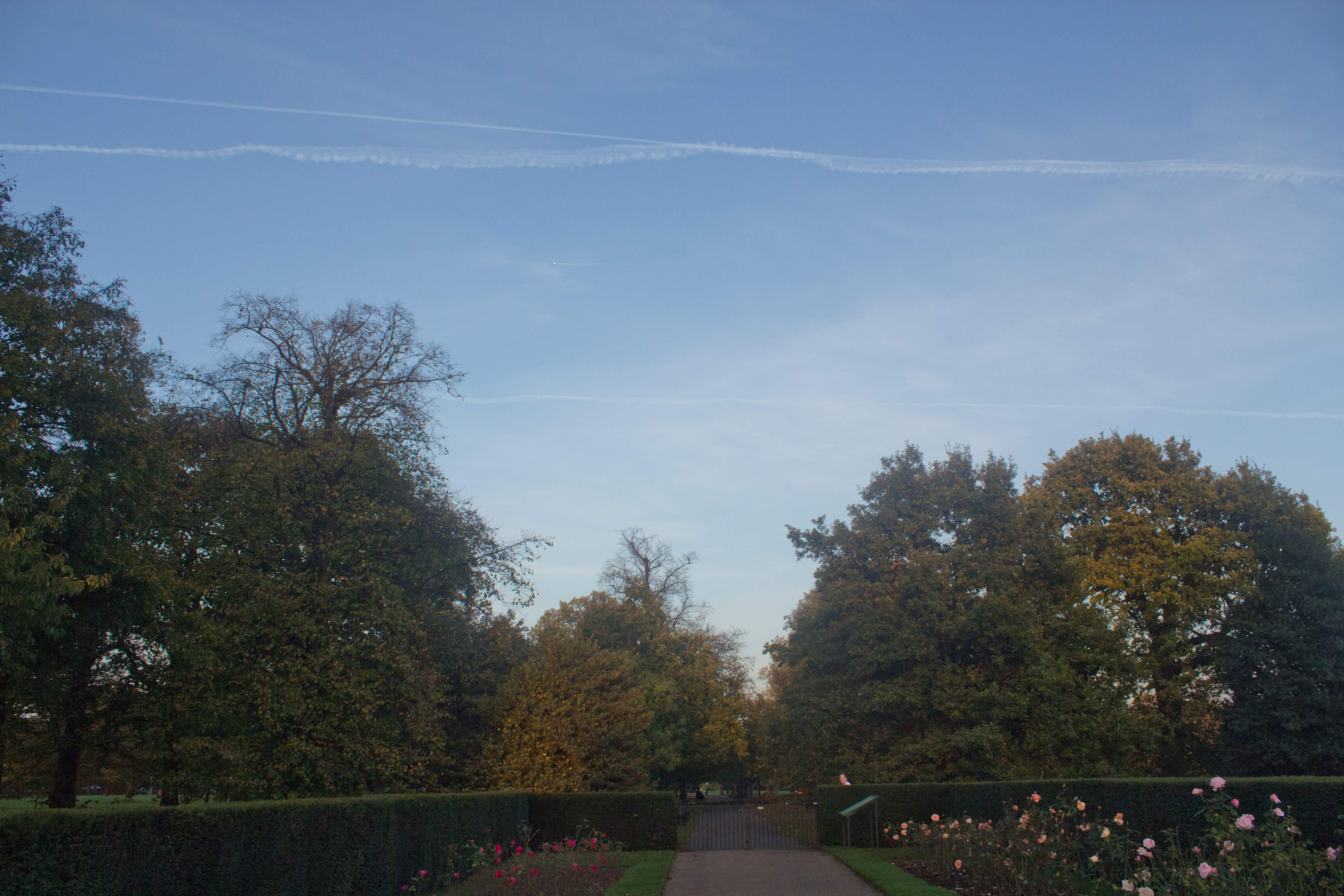 20141031-IMG_2025