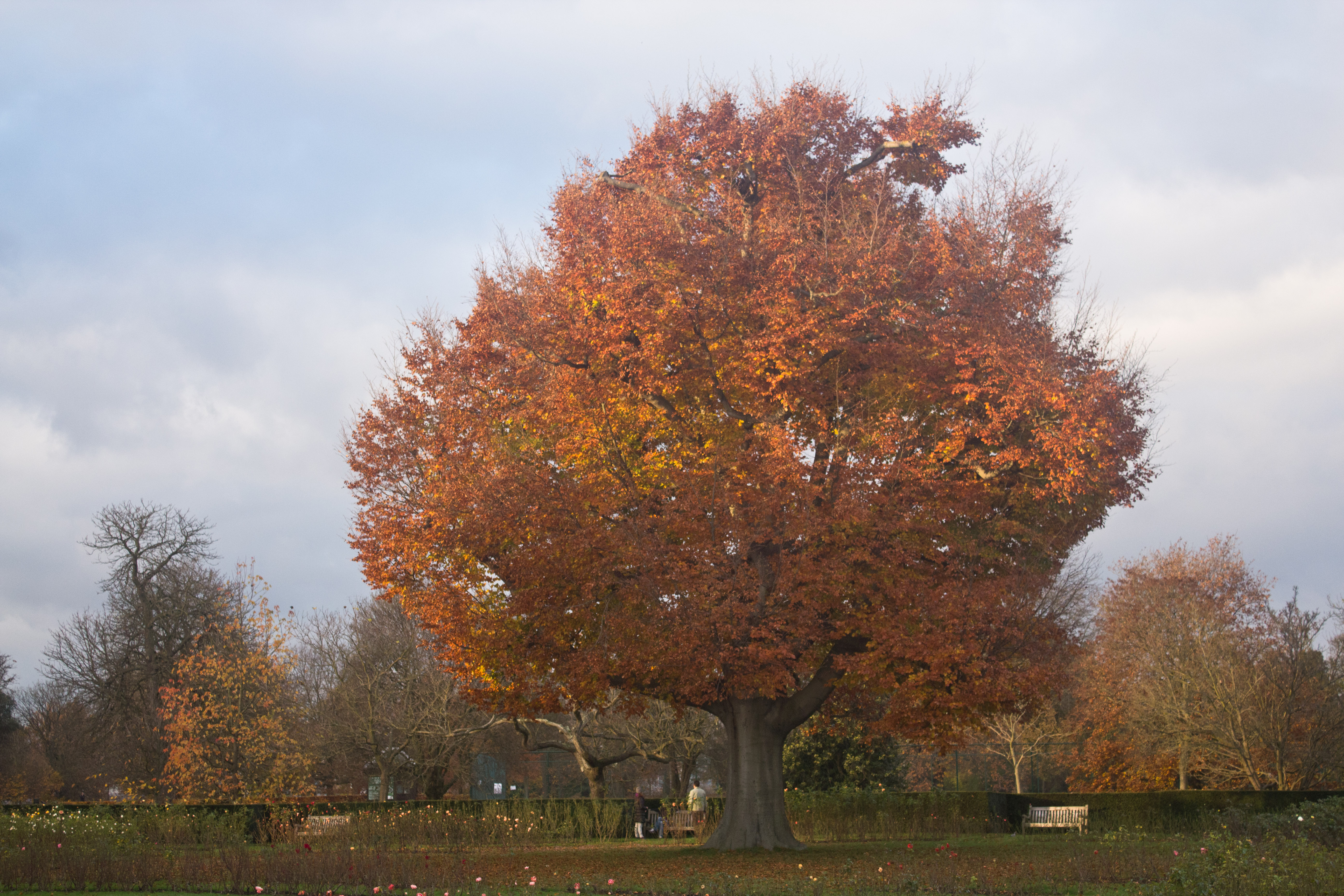 20141130-IMG_2103