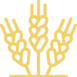 ico_1_1