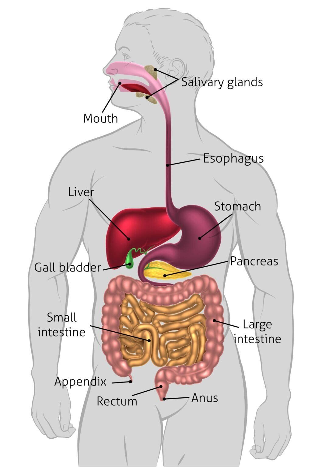 Integrative Medicine San Diego