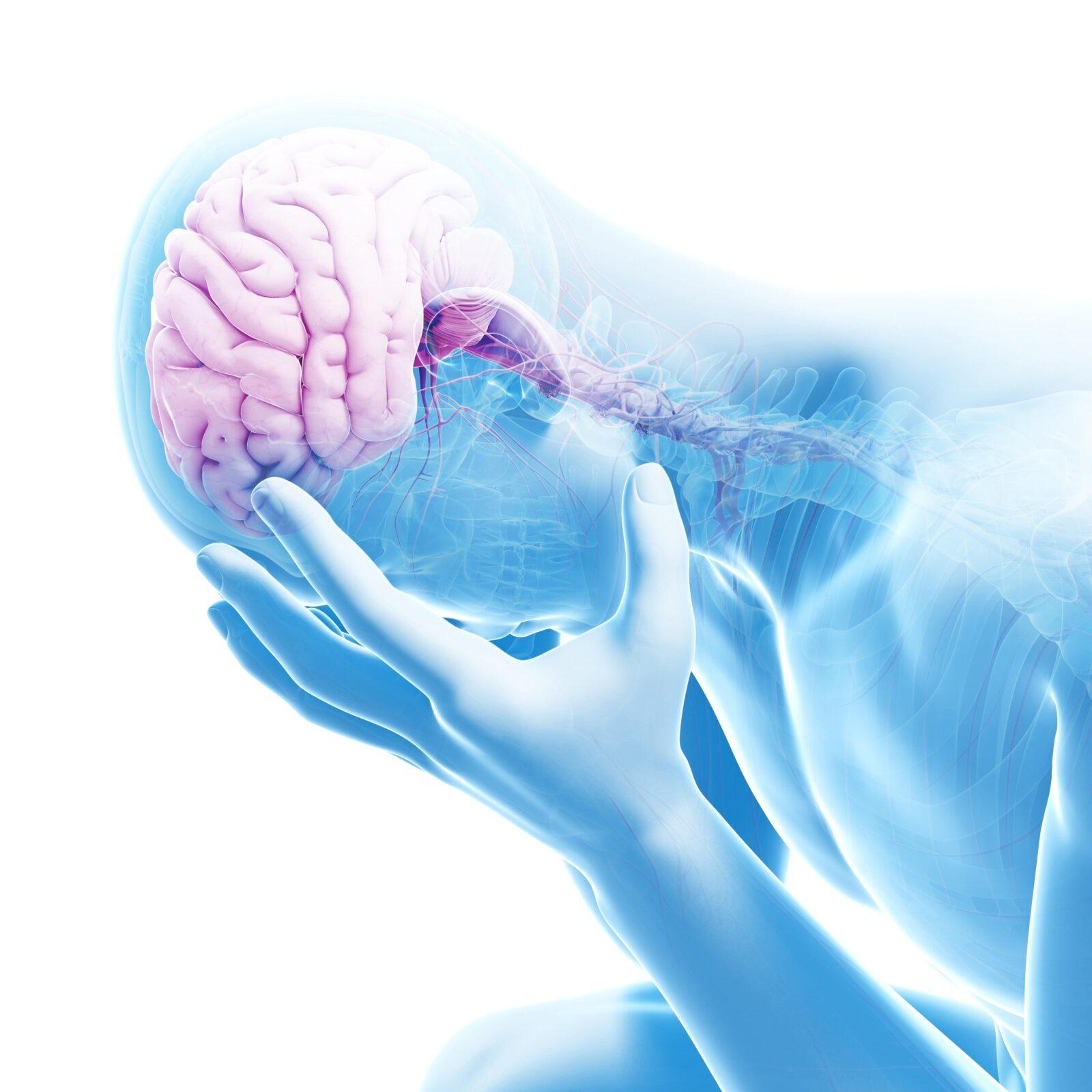 Naturopathic Doctor San Diego