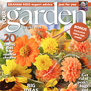 YG-83-Spring-Issue_Cover_178px-square_grid