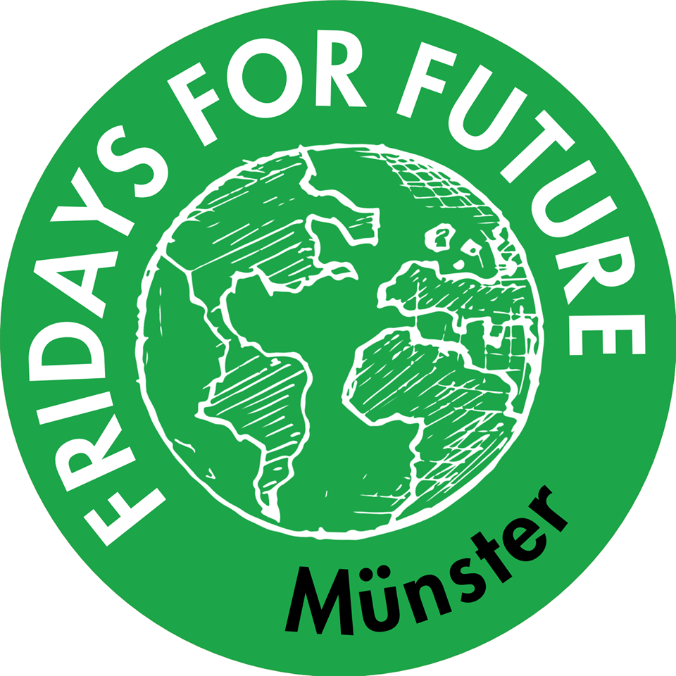 FridaysForFuture mobilisiert für den 1. Februar!