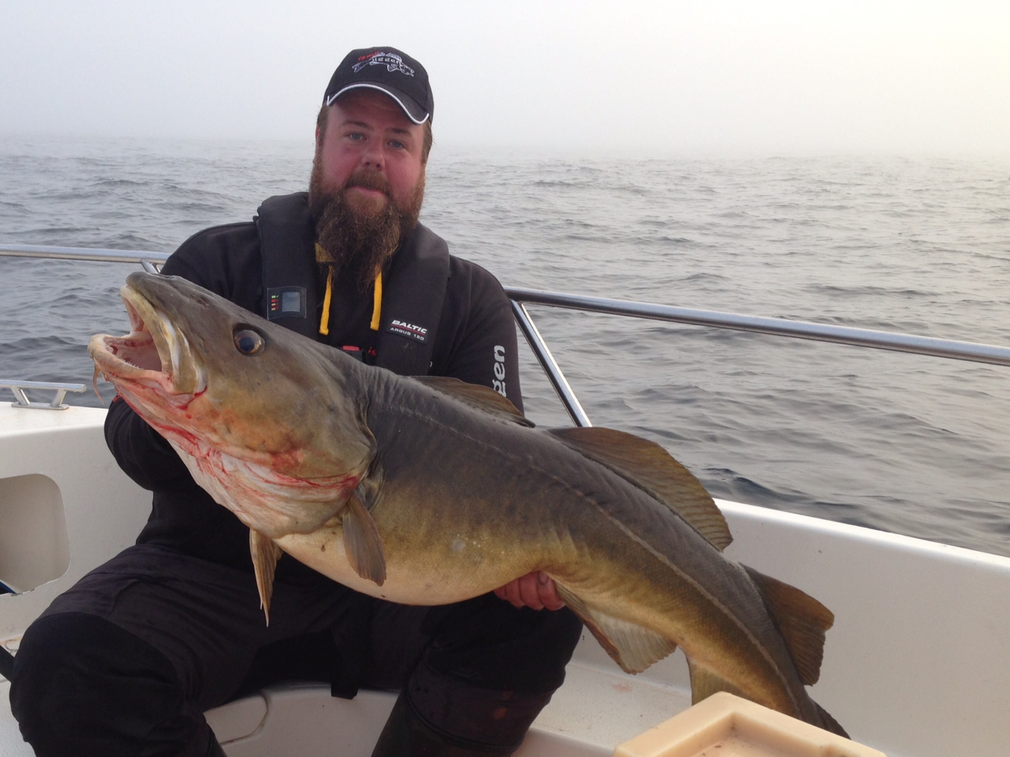 Stor fisk varje dag! - Fishing Camp Røst