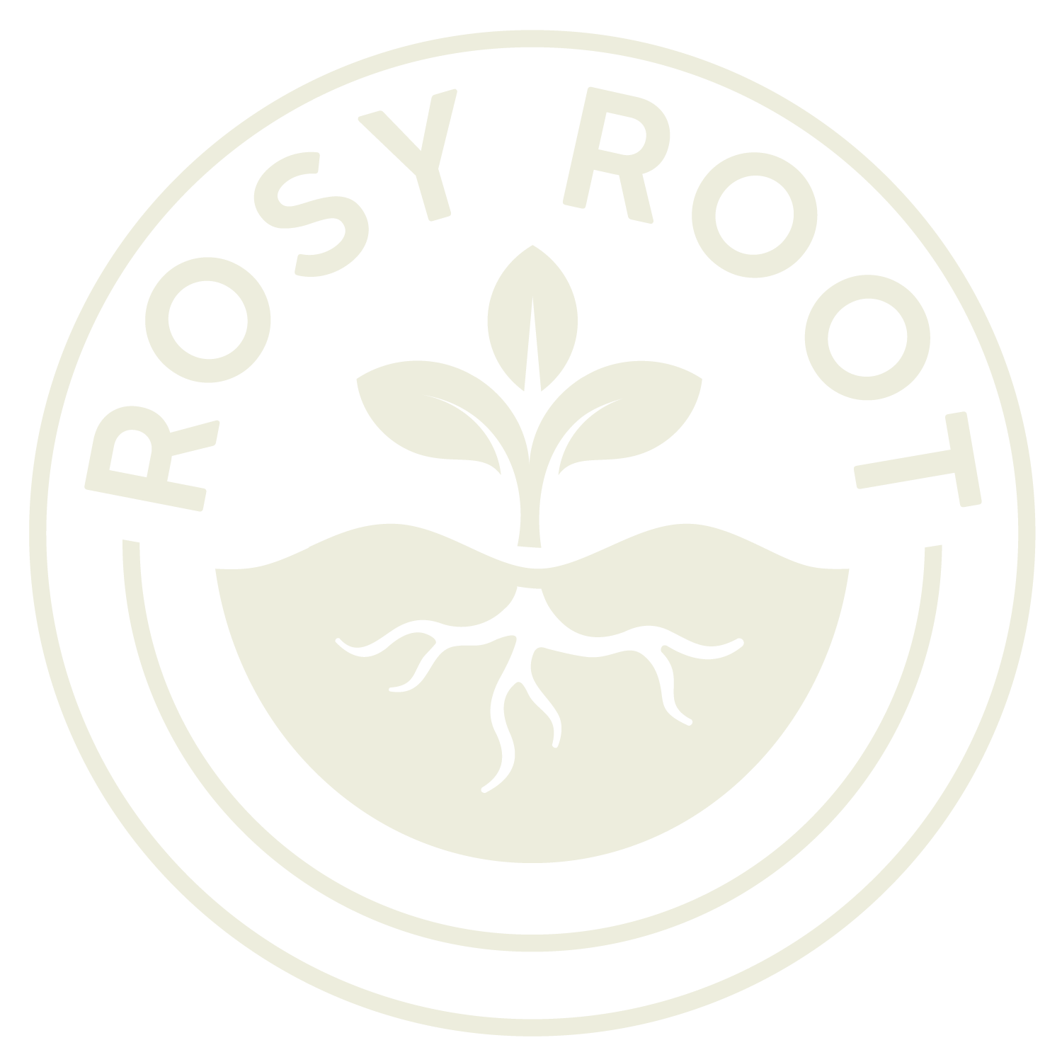 Rosy Root Plants