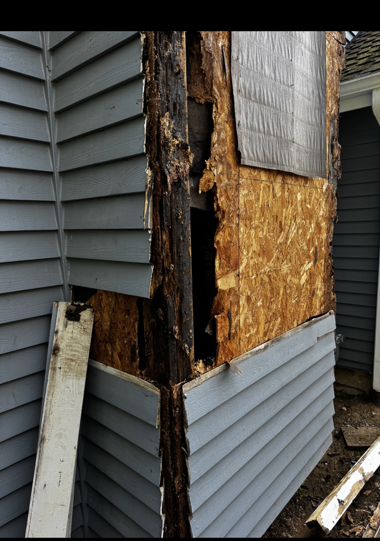 rot repair