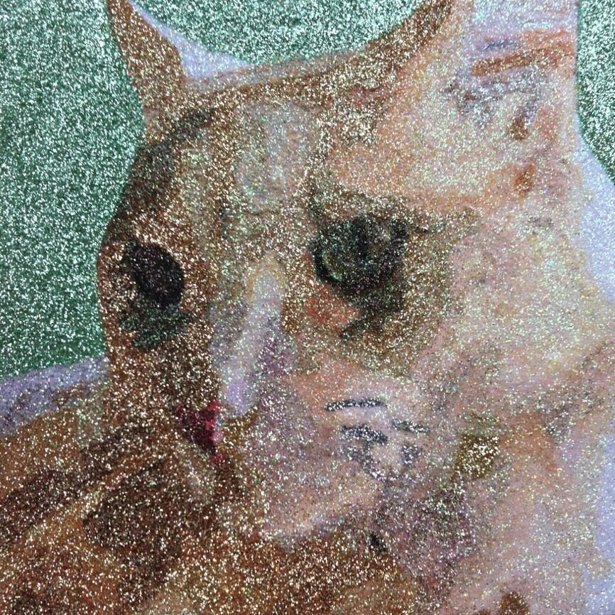 Cat by Hope Lennox