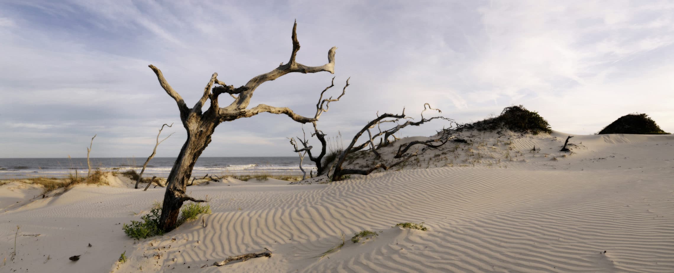 Beach_16