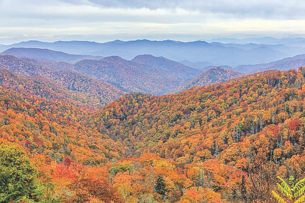 October will see fall leaves ablaze with color in North Georgia