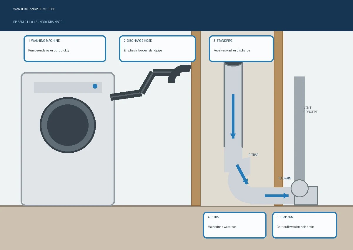 Washer Standpipe & P-Trap