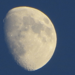 Welty Environmental Center: Full Moon Hikes