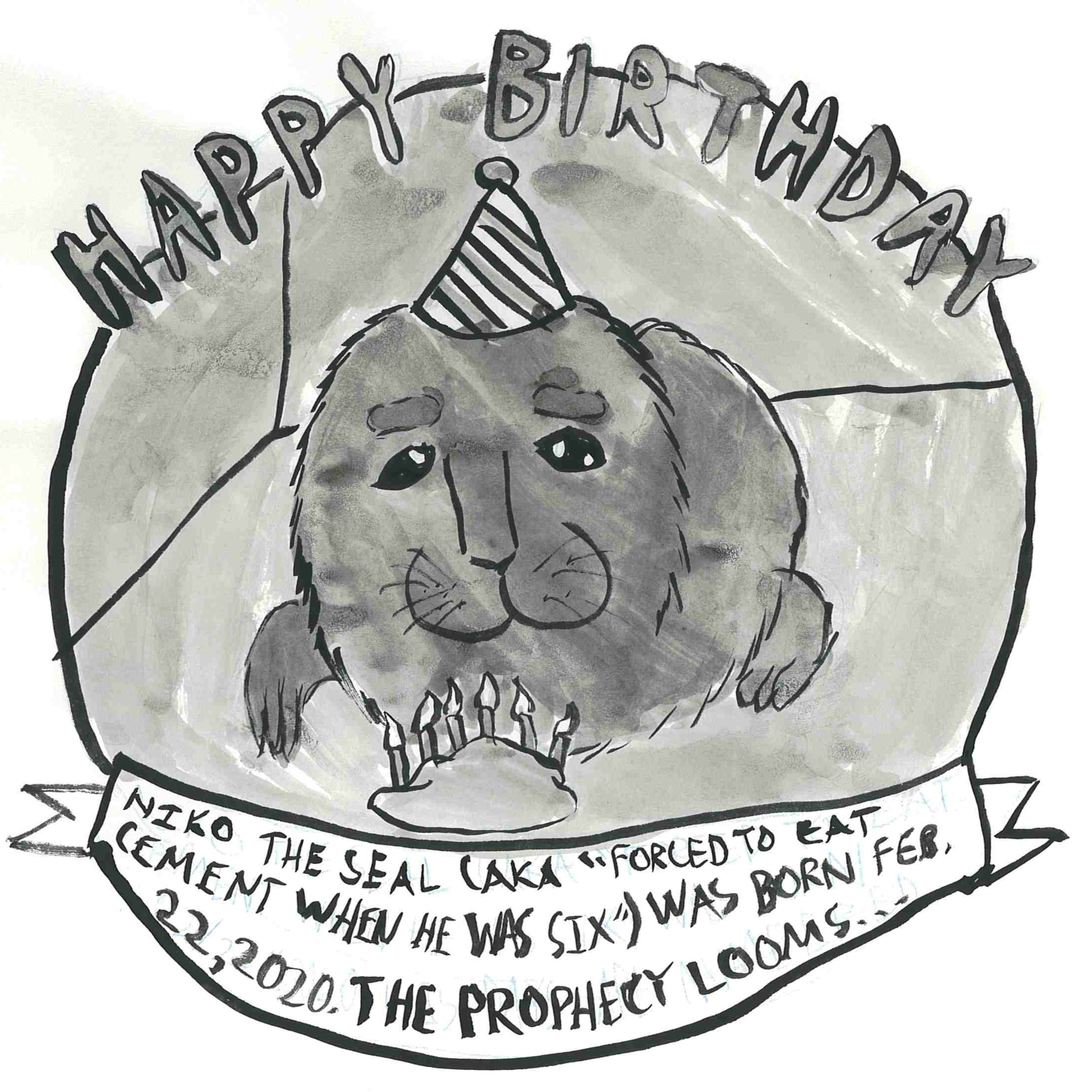 Niko the Seal’s Sixth Birthday!