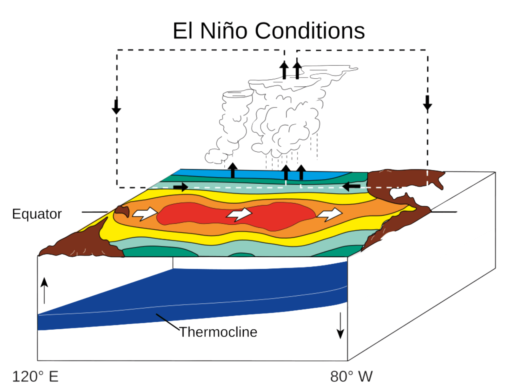 El Nino and Our Collective Climate