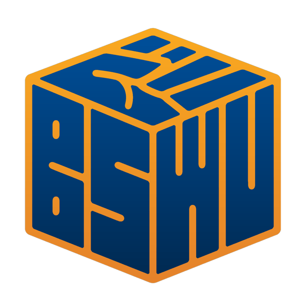 What is Bswu Up To?