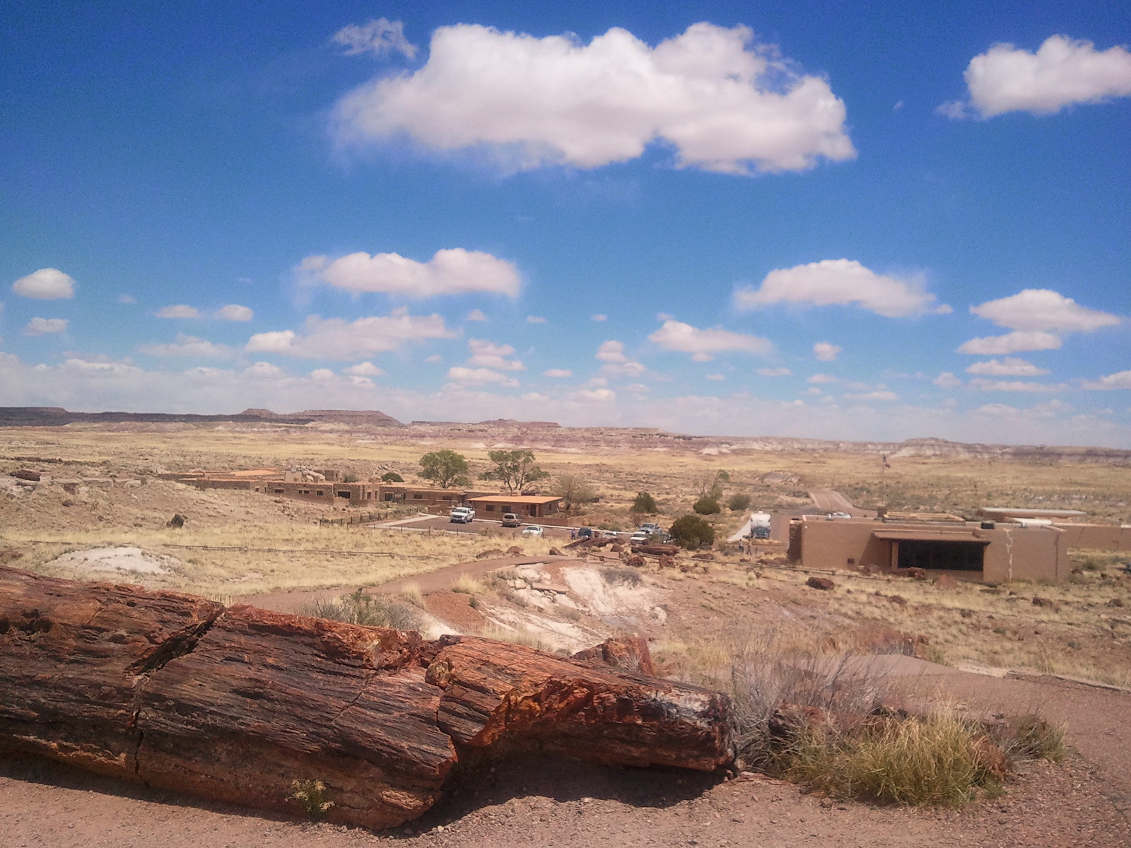 化石の森国立公園 Petrified Forest National Park | ルート66と旅の記録