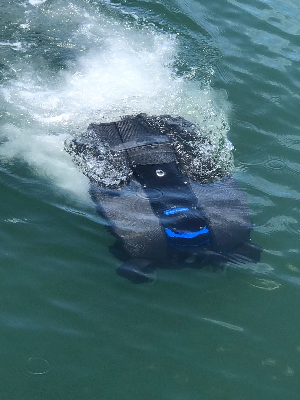 Revolution1 – MTS: ROV